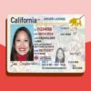 california state driving licence