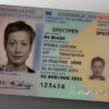 netherlands documents 2