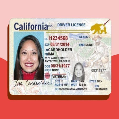 california state driving licence.jpeg